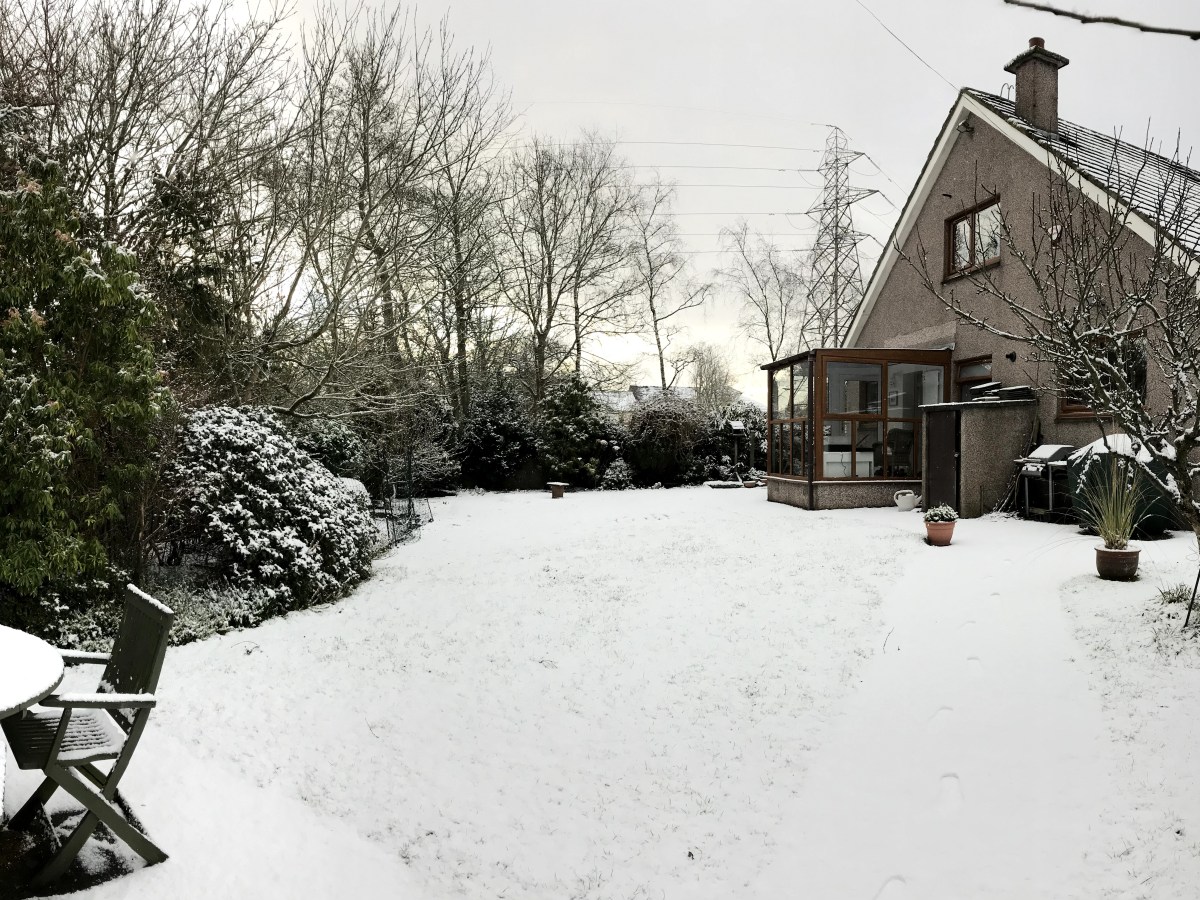 Back garden planning…