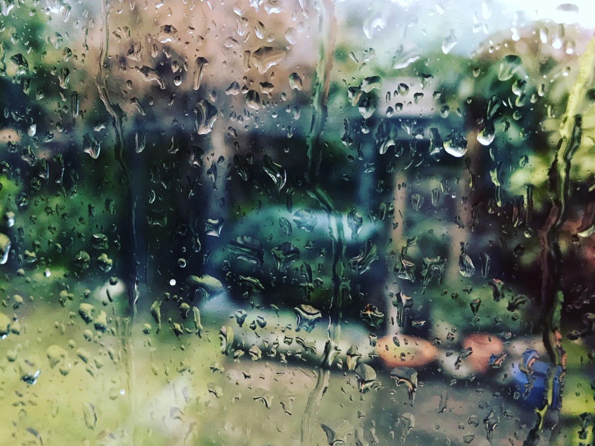 The best laid&nbsp;plans…