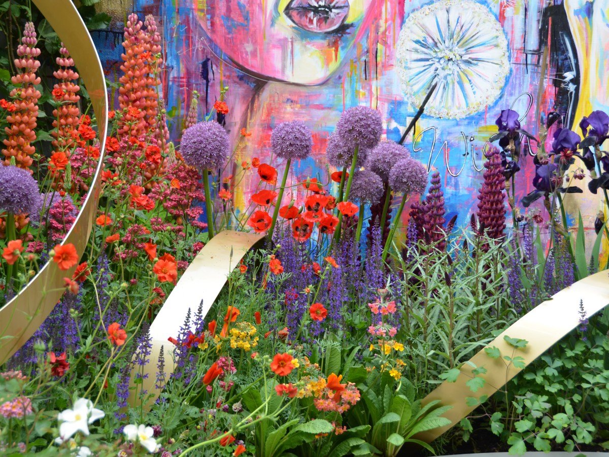 #TBT to Chelsea Flower Show&nbsp;2018