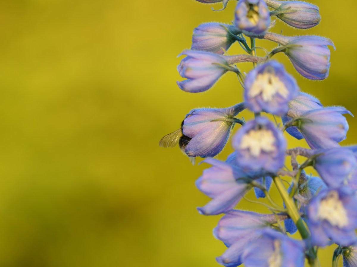 Playing the long&nbsp;game…