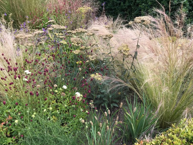 image_558445370734348