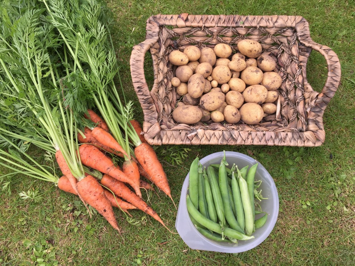 Get Into Grow Your&nbsp;Own