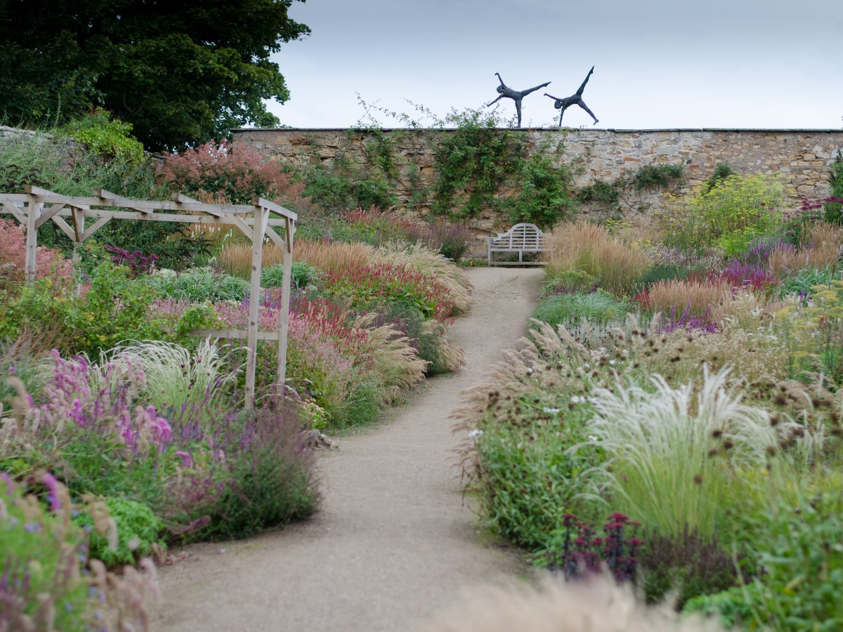 Cambo Walled Garden, August&nbsp;2020