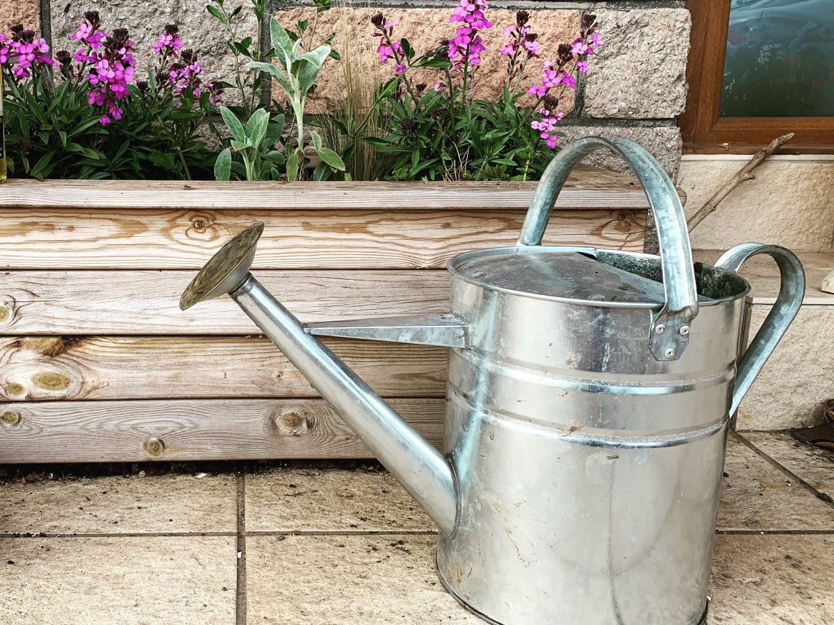5 top tips for a water-saving&nbsp;garden